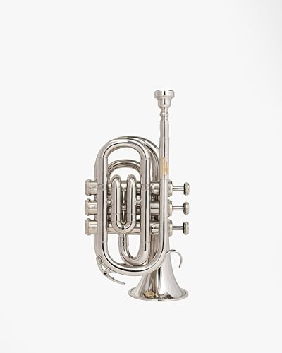Queen Brass B-Flat Pocket Trumpet Silver Finish Compact Brass Instrument with Mouthpiece Gloves and Carrying Case for Students Beginners and Travel Friendly