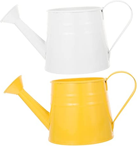 Arrosoir, 2 pièces pommeau de douche seau en fer arrosoir extérieur plantes succulentes plantes d'intérieur vase de ferme vintage seau galvanisé seau vintage seau en fer seau décoratif seau à fleurs