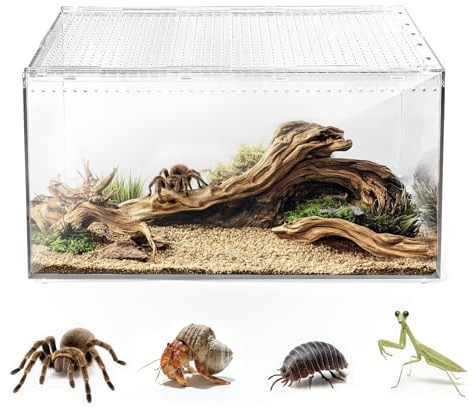 AZV Escape Proof Reptile Terrarium,Shatter Proof Polycarbonate Tarantula Tank with Magnetic Lid,Ventilated Spider Enclosure,360° Clear View,Easy Clean Habitat for Gecko,Frogs,Insects,Hermit Crabs L