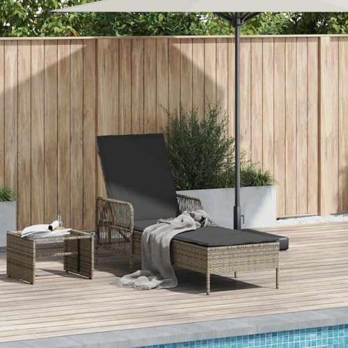 Frdhee Relaxliege Campingliege,Sonnenliege mit Kissen Grau 157 x 55 x 92cm Poly-Rattan,Gartenliege für Balkon,Garten & Strand