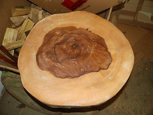 KJR Holzmanufaktur Baumscheibe, Holzscheibe, ca.50 x 10 cm, basteln, Holz, geschliffen, geölt, Esche