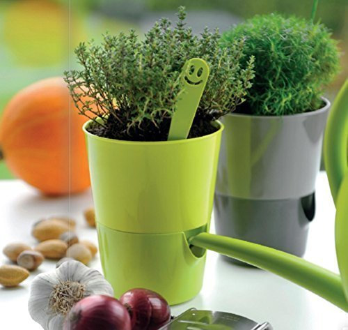 Plastia s.r.o. Kräutertopf Bewässerungstopf 'Rosmarin' mit Wasserspeicher Ø 11cm in 4 Farben, Farbe:Hell+dunkel-Anthrazit