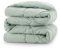 CozyLux Piumino Letto Matrimoniale 220x240 cm per 4 Stagioni, Piumino in Fibra 300 g/m² Autunnale Invernale, Trapunta in Microfibra Morbida e Traspirante, 240x220, Verde