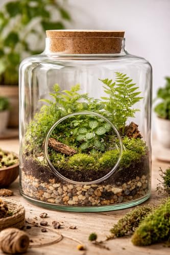 Glas Terrarium mit Korkdeckel – Pflanzenglas mit Frontöffnung, H - 27cm B - 20cm – Wald im Glas, Boho & Natur Deko