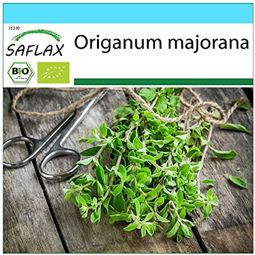 SAFLAX - Gift Set - Organic - Marjoram - 700 Seeds - with Gift Box, Card, Label and Potting Substrate - Origanum majorana