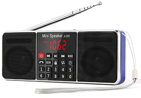 PRUNUS J-288 Radio portatil FM Am con Altavoz estereo Bluetooth, Temporizador de Apagado, estacion de Bloqueo, Tarjeta USB y TF y Reproductor de MP3 AUX, Azul