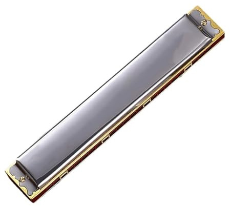 Mundharmonika 24 Loch Doppelloch Einzelnote C Dur Silber Rot BK Blau Instrument Standard-Mundharmonika(G Silver)