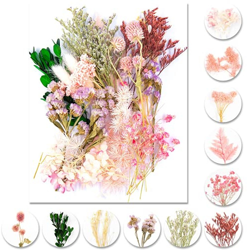 iDattel Natürliche Getrocknete Blumen,Blumen Natürliche Gemischte,DIY Natürliche Getrocknet Blumen Set für Kunst Basteln DIY Harz Scrapbooking Handwerk Karten Machen（Hellrosa）