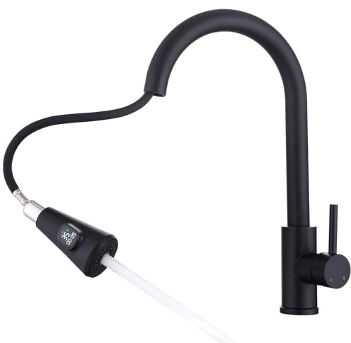 HOMELODY Wasserhahn Küche Schwarz mit LED Temperaturanzeige, Küchenarmatur Ausziehbar, Hochdruck Mischbatterie Spültischarmatur aus Edelstahl mit 2 Strahlarten, Einfache Installation