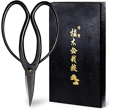 Hanafubuki Wazakura Bonsai Scissors Made in Japan 7inch(180mm), Japanese Bonsai Garden Tools, Hasami Pruning Shears - Traditional