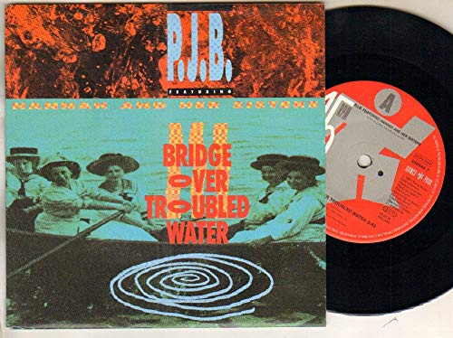 BRIDGE OVER TROUBLED WATER 7 (45) DUTCH SONY 1991 B/W LOOKING AT A NEW WORLD (6565467) PIC SLEEVE