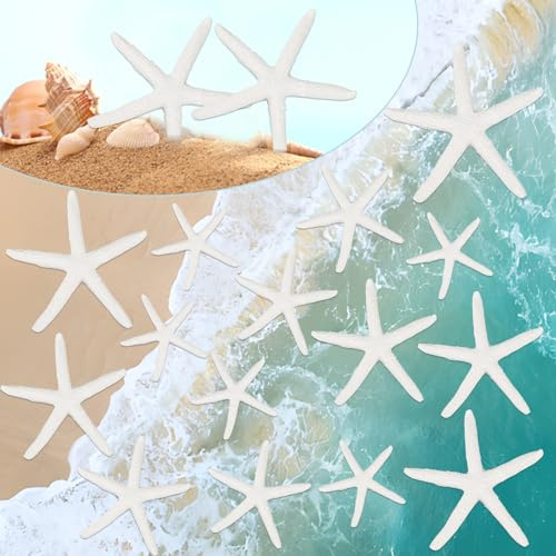 20 Stück Seestern Deko, Finger Starfish Kunstharz Seesterne Meerestiere Maritime Deko, Flatback Mini Seesterne für Hochzeit, Strand Motto-Party, Heimdekoration Basteln, Aquarium Fischernetz Deko