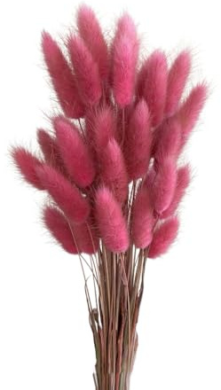 Aniyan 50 Stück Kaninchenschwanzgras Getrocknet Trockenblumen, Flauschige Bunny Tails Strauß, Lagurus Trockenblumen Deko für Vase Hochzeit Boho Wohnzimmer Tischdeko (Dunkelrosa B)