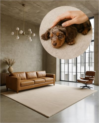 TEXMAXX Weicher Kurzflor Teppich Wohnzimmer mit rutschhemmender Rückseite (200 x 300 cm) - Modern für Flur, Esszimmer und als Schlafzimmer Teppich in Cremeweiß - Waschbar bis 30 Grad
