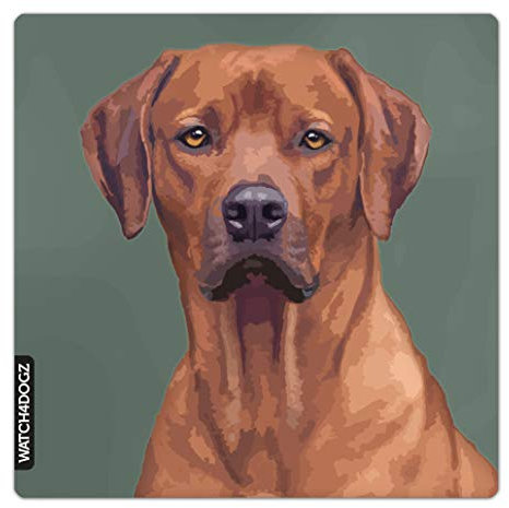 WATCH4DOGZ Rhodesian Ridgeback - Cartello di avvertimento per cani, 22 x 22 cm