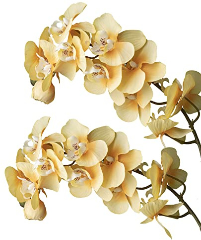 cn-Knight Künstliche Blumen,2pcs 72cm Langer Stiel Schmetterling Orchidee,Große Größe Lebensechte Phalaenopsis Echte Haptik Orchidee,für Hochzeit,Brautschmuck,Büro,Tischdekoration,Gelb