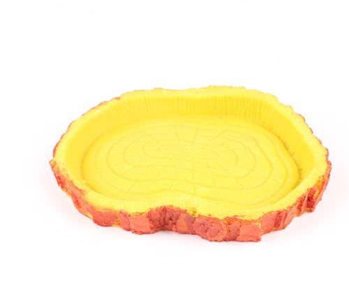 Natural Tree Trunk Reptile Water Dish | Realistic Bark Design Durable and Safe Resin Bowl for Terrariums, Amphibians and Small Pets | Maintain Perfect Habitat Accessory | Large (15.5 x 15 x 1.5 cm)