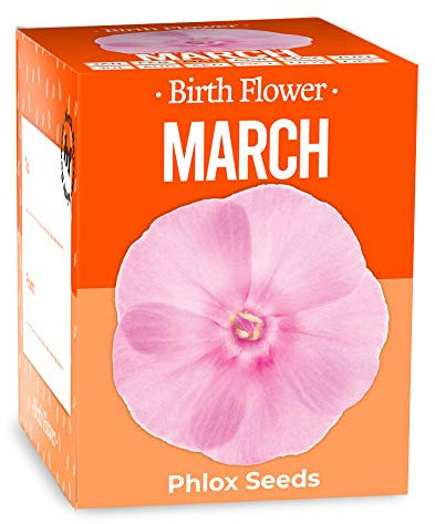Gift Republic GR130047 March Birth Flowers, Multi, 12.0 cm*12.0 cm*12.0 cm