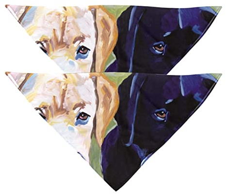 Labrador Retriever Hundehalstücher, 2 Stück, Chiffon-Bandana, dreieckiges Lätzchen, Zubehör für kleine, mittelgroße und große Hunde, Welpen, Haustiere