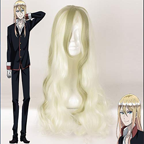 Anime Der königliche Tutor Cosplay Richter Von Glanzreich Cosplay Perücken Halloween Karneval Party Oushitsu Kyoushi Heine Cosplay Perücken
