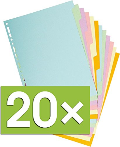 Exacompta Register A4 Trennblätter Recy.Kart. Pastell (12 Tabs, Multi-Colour Pastel, 20er Set)