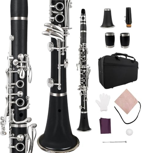 WUQIMUSC Clarinete profesional de madera de ébonita, llaves chapadas en níquel con barriles accesorios de caña, sonido agradable, estuche duradero (clarinete de pastel)