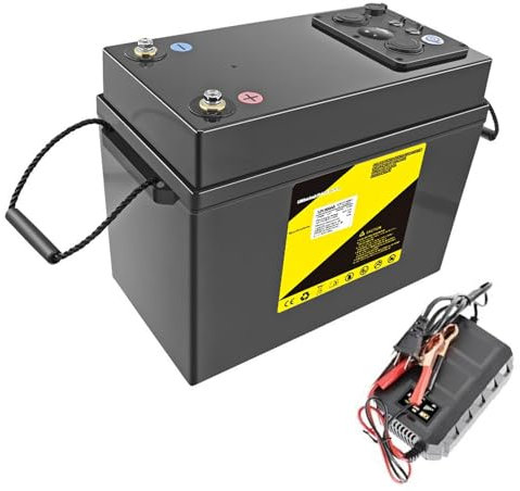 WILLQ 12V 300Ah LiFePO4-Lithiumbatterie mit Ladestandanzeige und Ladegerät, integriertem 100 A BMS, max. 3840 W Leistung, 4000+ Zyklen für Wohnmobil/Camper/Solar/Off-Grid