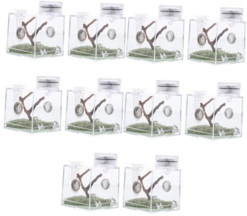 BESPORTBLE 5stücke Spider Habitat Box Mit Integrierter Lampe Hochtransparente Aufbewahrungsbox Für Springende Spinnen Und Für Haltung Und Fütterung Mit Luftlöchern Für Optimale