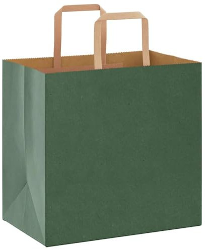 vidaXL Papiertragetaschen 250 Stk., Papiertüten mit Henkeln, Papiertüten, Geschenktüten für Einkaufen Hochzeiten Verpackungen Partys Geburtstag Weihnachten, Grün 26x17x25cm