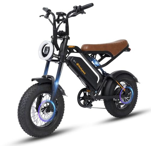 Bodywel M16 Bici Elettrica Uomo, 16x4.0 Zoll Fat Mountain Bike Elettrica, Batteria 48V 13Ah, Motore 250W, Autonomia 80km (PAS), Display LED da 4.0”, Freni a Doppio Disco (Nero)