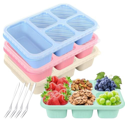 Snack Box, 4 Stück Snackboxen Mit 5 Fächer, With Stainless Steel Fork