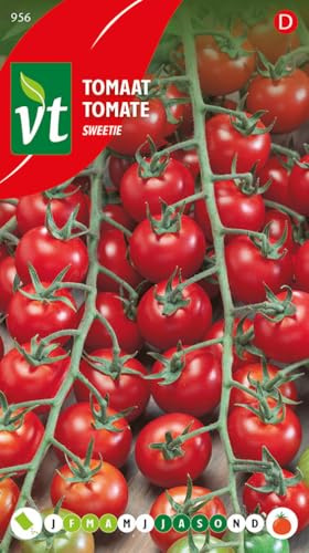 Sweetie Tomato Seeds per gram - Excellent Cherry Tomato Variety with a Sweet Taste - 0,5 g - Seeds per gram: 300
