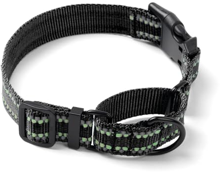 Hoowoo Martingale Dog Collar with Safety Quick Release Buckle, Reflective Nylon Collar Medium Escape Proof, Half Chock Collar Anti-Pull, Training Collar Soft Puppy Collar for Medium Boy and Girl Dogs