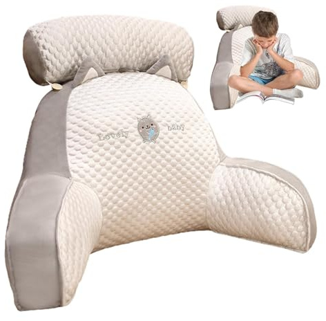 Bitong Lecture avec Accoudoirs, Coussin De Lecture, Coussin Dorsal Flex Confort, Lecture avec Traversin Amovible, Coussin Dossier Canapé en Soie Glacée, Confort Et Ergonomie Coussin Cale Dos Canapé