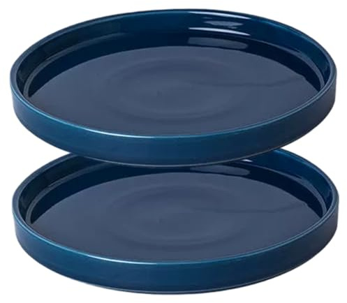 Takingup Sottovaso per Piante in Ceramica da 2 Confezioni, sottovaso Base per fioriera da 5, 4 Pollici con Finitura Lucida per Piante in Vaso da Interno ed Esterno, Piatti per Blu