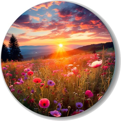 UVTECHPRINT Glasbild Wandbild Heimdekoration rund Wiese Landschaft Sonnenaufgang 80x80 cm Wohnzimmer Kunstdruck Bilder auf Glas