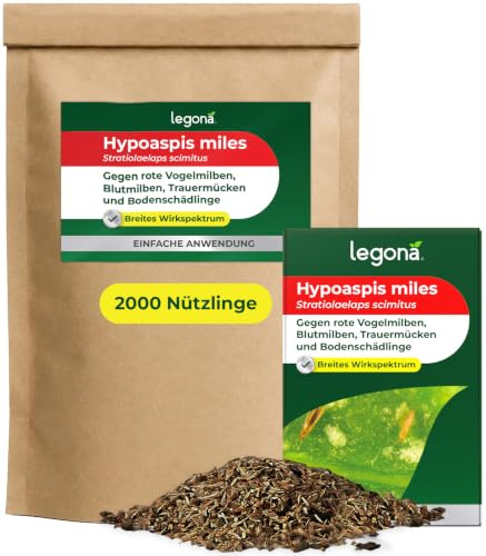 Legona® Hypoaspis miles | 2.000 Tiere für 1-20m² | Raubmilben gegen Thripse, Trauermücken, Springschwänze, Schlangenmilben und die rote Vogelmilbe | Biologische Schädlingsbekämpfung