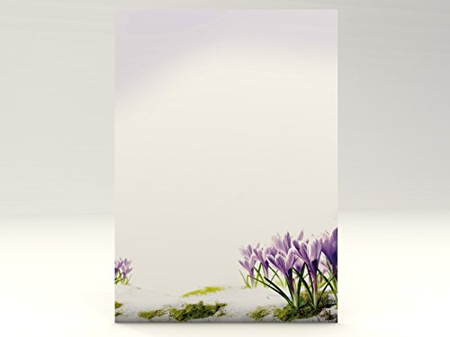 Motivpapier Krokusse 100 Blatt Motivpapier DIN A4