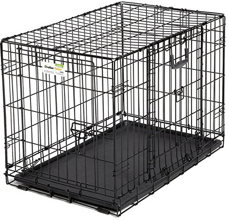 MidWest Homes for Pets - Ovation Hundekäfig mit Doppeltür, 122 cm, klappbar, aus Metall, Fronttür und „Up & Away“-Seitentür, platzsparendes Design, sehr große Rassen