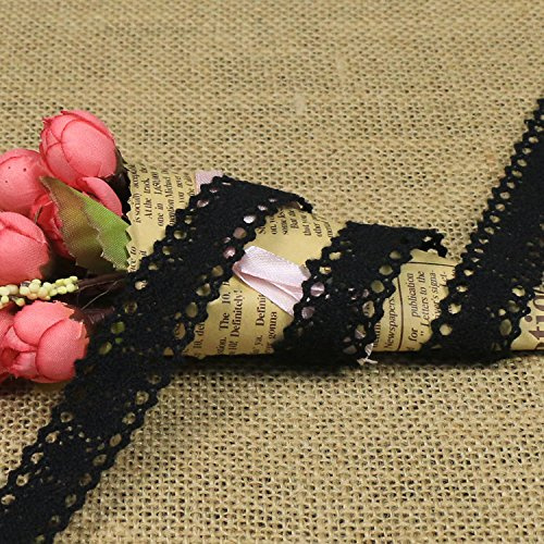 10 Meter Vintage Spitzenband Schwarz Spitzenborte Häkel-Borte Spitze Spitzenstoff Spitzenbordüre Karten Tagebuch Scrapbooking Geschenkbox Dekoband Nähen Handwerk Hochzeit Deko (Schwarz)