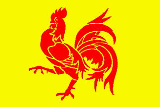 Flagge Fahne Wallonien Belgien Hahn 90x150cm
