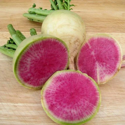 Plant World Seeds - Radish Watermelon Seeds (Radish Seeds)