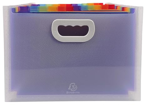 Exacompta 55198E Premium Kunststoff-Fächermappe Crystal mit Tragegriffen für DIN A4 24 vollfarbige Fächer, 2 Etikettenhalter für Visitenkarten inklusive 2 Etikettenbögen, Ordnungsmappe transparent