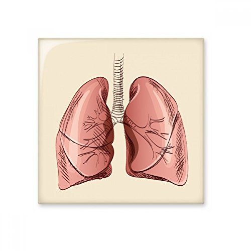 DIYthinker Órgano de pulmón humano ilustración brillante baldosa cerámica de baño Cocina muro de piedra artesanal de regalo Decoración