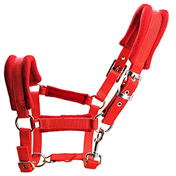 Namvo Horse Halter Zaumzeug mit Zügel, verstellbare Kopfteile für Pferd Verdicktes Gurtband mit weichem Kontrollkissen Reitzubehör