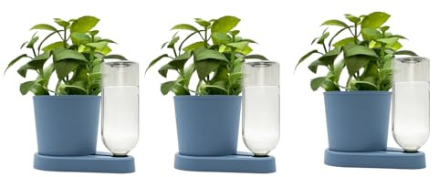 greevi kräuterheld 3er Set | Kräutertöpfe mit Selbstbewässerungssystem | Made in Germany | Kunststoff (Standard, Pastellblau)