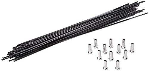 DIMEIYAN Fahrradspeichen, Fahrradspeichen, Stahlspeichen, 12-TLG. 265 mm, Mountainbike-Rad, Flache Speichen und Kappen-Set, Fahrrad-Edelstahlspeichen, Fahrradzubehör, Speichen for Fahrräder(Orange)