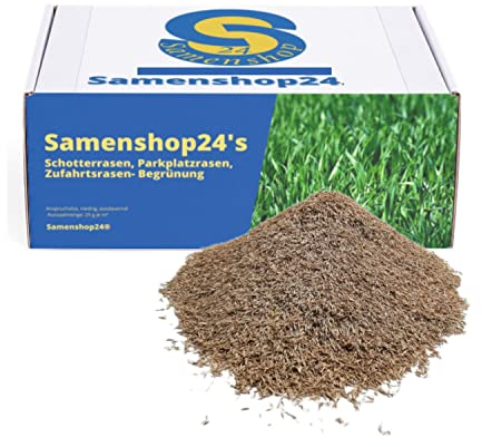 Samenshop24® DSV 530 Schotterrasen, Parkplatzrasen, Zufahrtsrasen- Begrünung (1 kg)