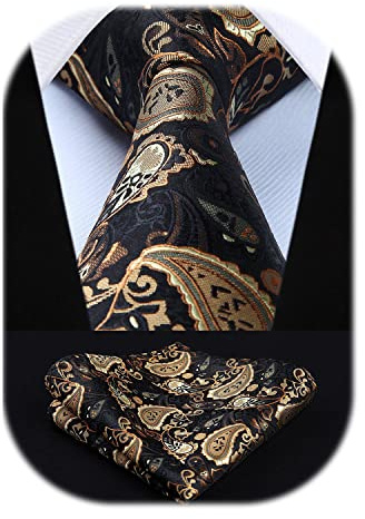 HISDERN Krawatten für Herren Hochzeit Krawatte mit Einstecktuch Paisley Formelle Klassische Herrenkrawatte und Taschentuch Set für Männer