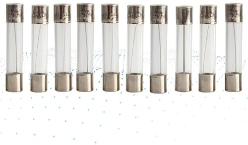 Sicherung 6 * 30 mm Typ Glassicherung 6 * 30 250 V 1 A 1,5 A 2 A 2,5 3 A 4 A 5 A 6 A 7 A 8 A 10 A 15 A 20 A 25 A 30 A Ersatzsicherung (Size : 10A)